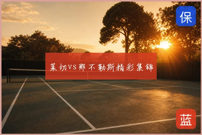 莱切vs那不勒斯精彩集锦
