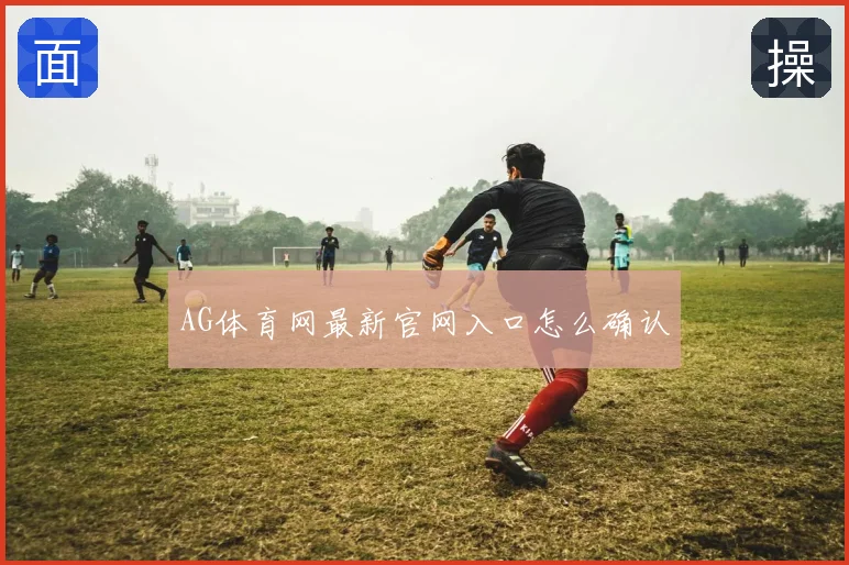 AG体育网最新官网入口怎么确认
